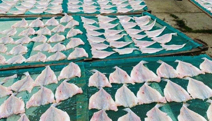 Thien Thanh Food - Cá Khô & Cá 1 Nắng