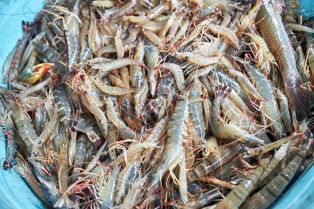 Hải Sản Tươi Sống Thanh Hương - Nguyễn Quyền