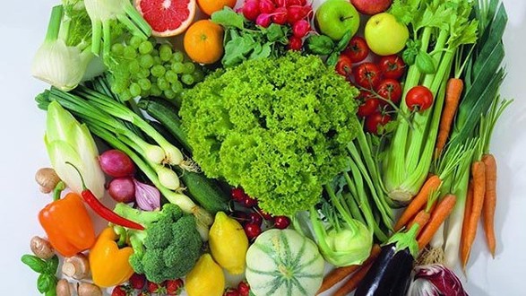 Bảo Gia Farm - Rau Củ Sạch