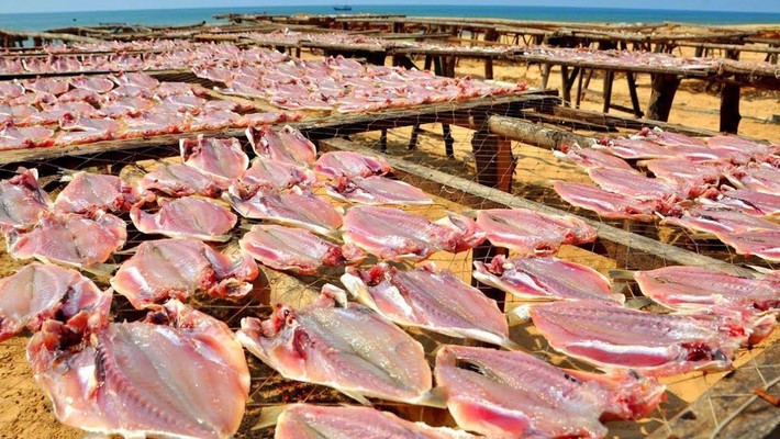 Hải Sản Biển Ngang - Cá Khô - Lê Đỉnh
