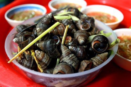 Ốc Tý - Thái Phiên