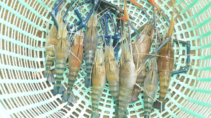 Bếp Cô Tiên - Hải Sản Tươi Sạch - Phạm Ngũ Lão