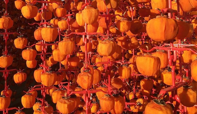 Vườn Ngoại - Hồng Treo Gió & Trái Cây - Nguyễn Bặc