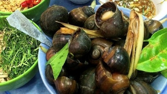 Ốc Ngọc - Đường 17