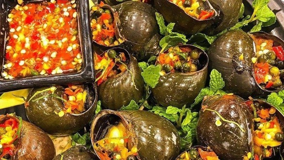 Ốc Mây - Núi Thành