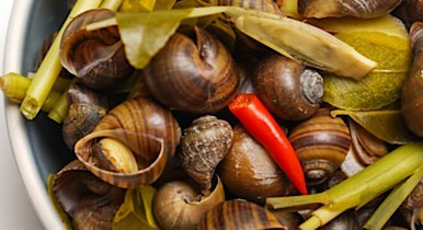 Ốc Cô Ba Sài Gòn - Phủ Liễn