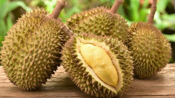 Sầu Riêng Sạch 440 - Hoàng Sa