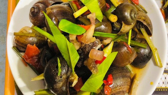 Ốc 287 - Tăng Bạt Hổ