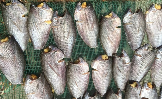 MỘT NẮNG FOOD - Cá Khô - Đồng Văn Cống