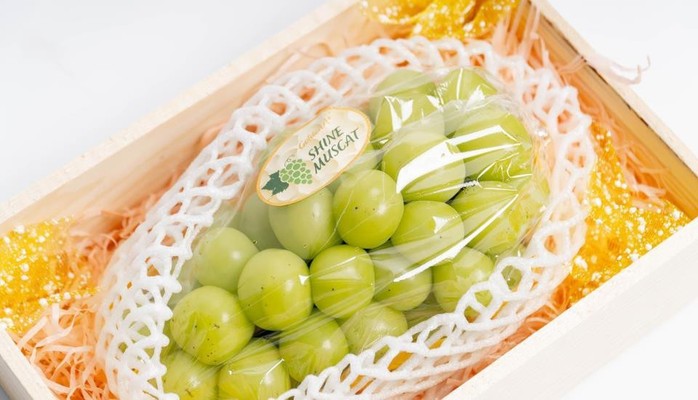 F99 - Nền Tảng Mua Sắm Trái Cây - Ngoại Giao Đoàn