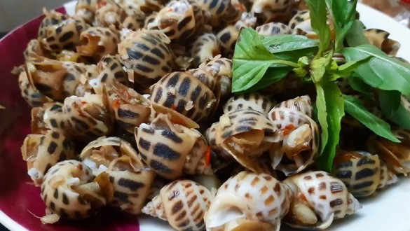 Ốc Say - Trần Xuân Soạn