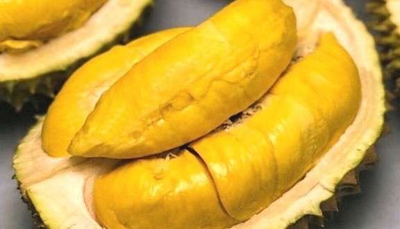 Sầu Riêng Sạch Cái Mơn - Hoàng Sa