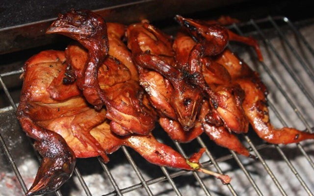 Kiên Hương Rừng - Chim Câu - Duy Tân