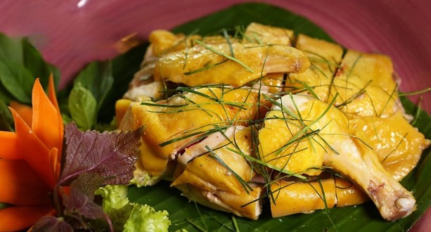 Gà Ta Hướng Dương - Cơm, Cháo & Gỏi Gà