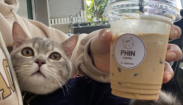 Phin Coffee - 249 Đống Đa