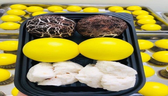 Tiệm Bánh Bao HandMade - Bếp Bà Sinh - Bạch Đằng