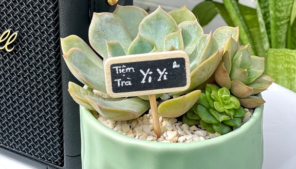 Tiệm Trà YiYi - Phạm Ngũ Lão