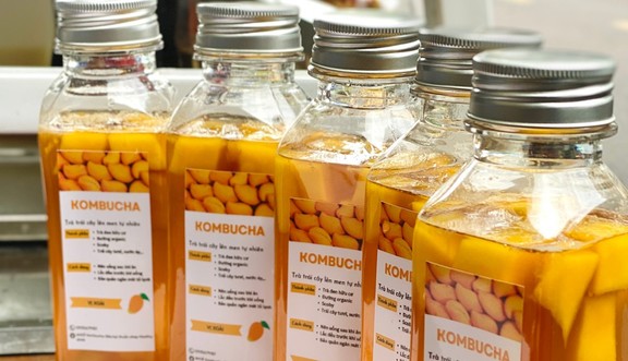 KHOẺ Kombucha - Healthydrink