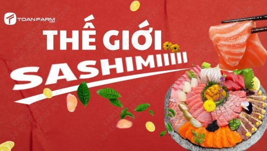 Sashimi Cá Hồi, Cá Trích & Món Nhật - Toàn Farm - Đặng Dung