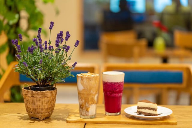 Traditional Coffee - Trần Hưng Đạo