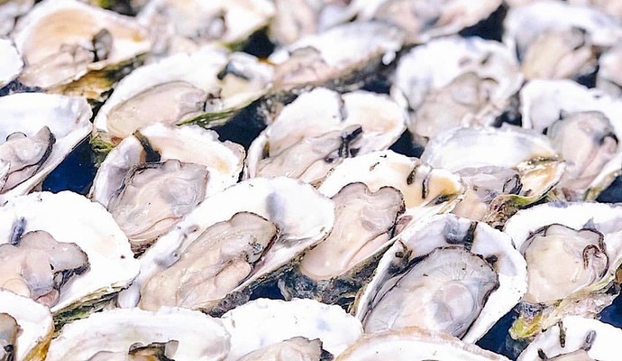 Vựa Hào Phước Hải Vũng Tàu - Nguyễn Thị Búp