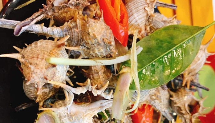 Ốc Biển Ha Ui - Ốc & Đồ Ăn Vặt - Phố Nhổn