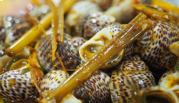 Ốc Sea - Ốc - Sinco