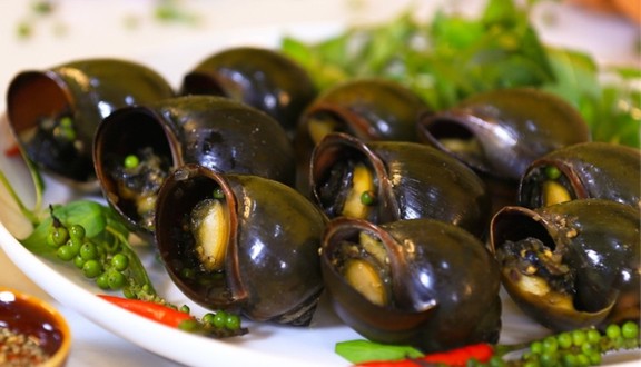 Ốc Tin - Ốc -  Kênh Tân Hóa
