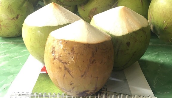 Dừa Tắc 81 - Nước Dừa Đá Đường - Nguyễn Phúc Chu