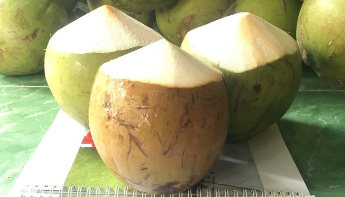 Dừa Tắc 81 - Nước Dừa Đá Đường - Nguyễn Phúc Chu