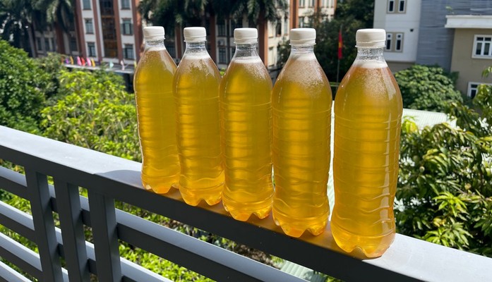 Mật Ong Ánh Nguyễn - Mật Ong - Trần Quốc Hoàn