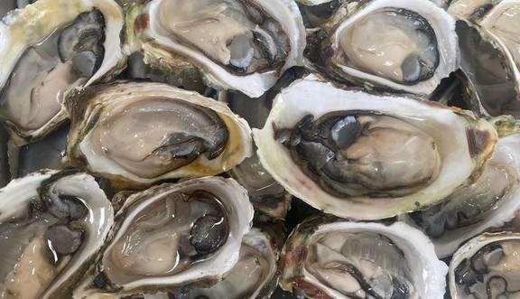 Quán Hàu  - Hàu Nướng Đủ Loại - Đội Cấn