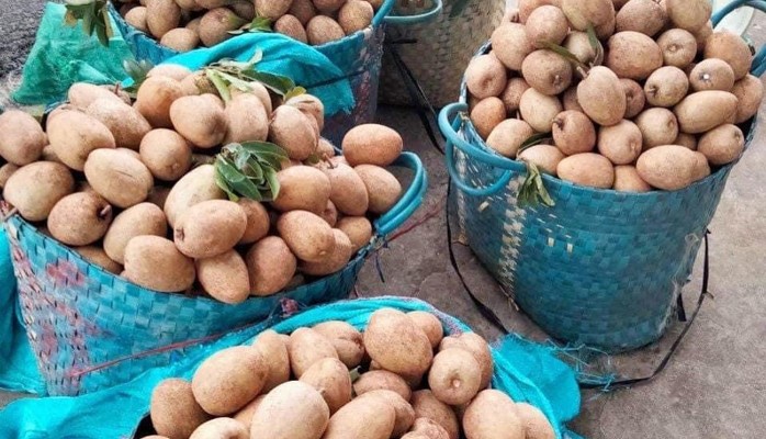 SenFarm - Rau Củ Quả & Trái Cây - Kha Vạn Cân