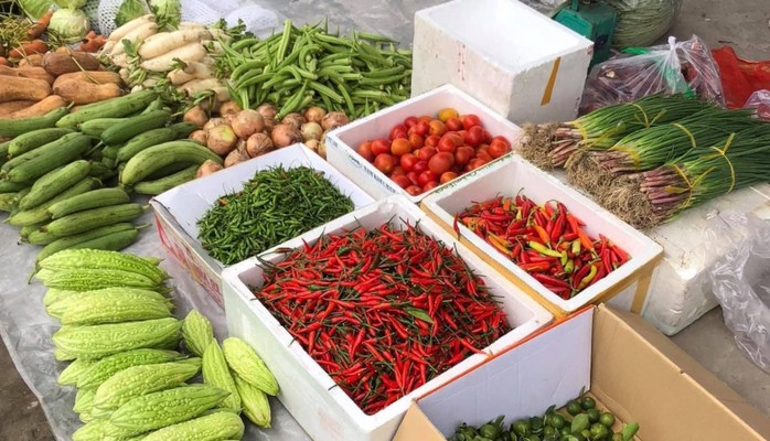Nông Sản Dũng Hà - Rau Củ Quả & Trái Cây - Trung Mỹ Tây 13