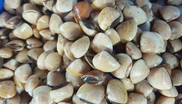 Hải Sản Tuyết Trinh - Nguyễn Thị Thập