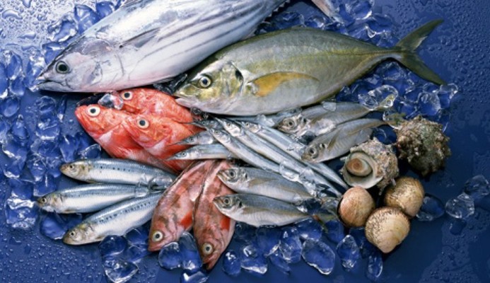 Hải Sản Tươi Quán Diễm - Hải Sản - Xô Viết Nghệ Tĩnh