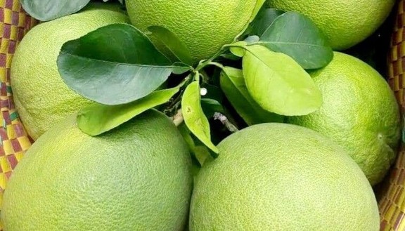 Happy Fruit - Trái Cây Miền Tây