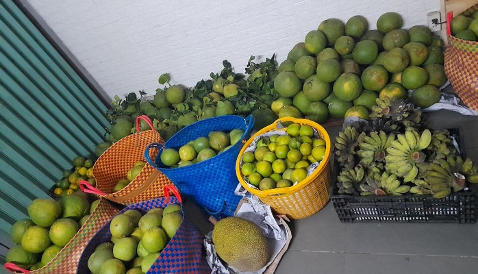 Trái Cây Miền Tây Sỉ Và Lẻ - Dừa & Bưởi - Đường Bình Quới