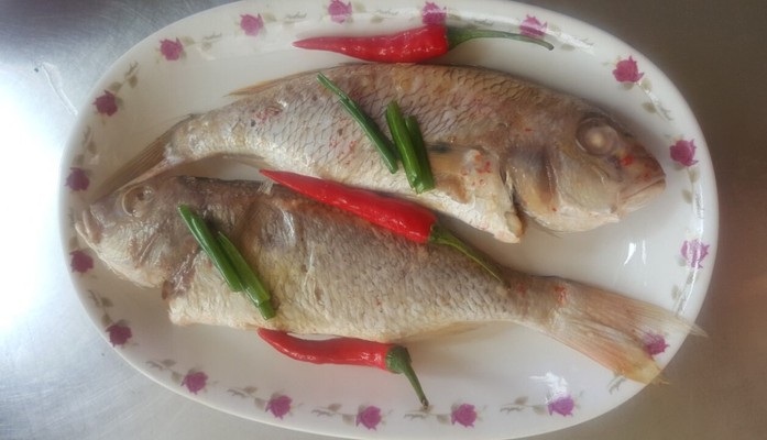 Phá Lấu Ngành Ký - Hồng Bàng