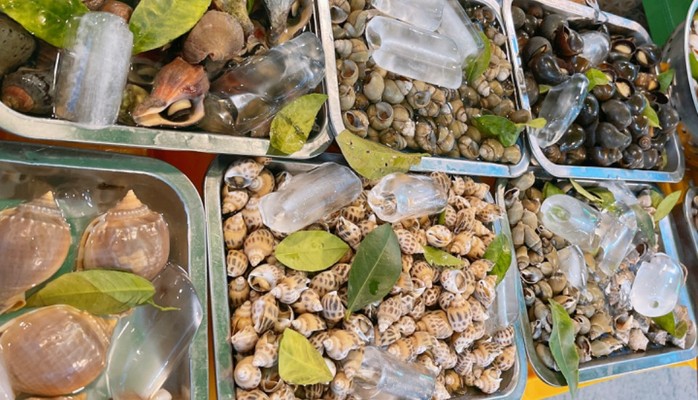 Ốc Sông Giồng 2 - Nguyễn Thị Định