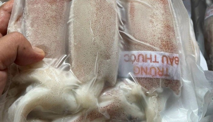 MỰC CÂU PHÚ QUỐC - Mực Tươi Đông Lạnh - 25 Nguyễn Quang Bích