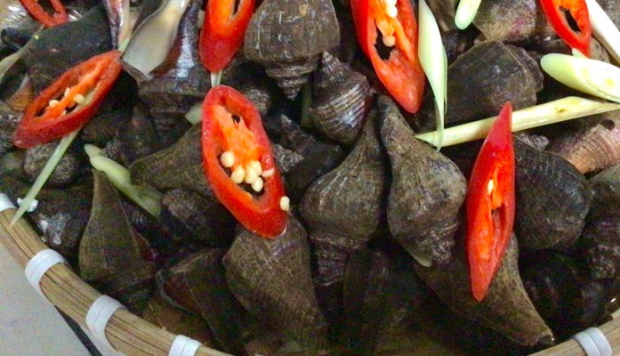 Quán Nhậu 219 - Hải Sản & Lẩu - 250A Phan Anh