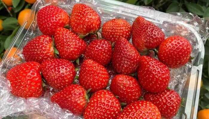 Kho Thực Phẩm Đông Lạnh Nguyễn Thấm - Đồ Đông Lạnh & Đồ Ăn Vặt - Ngô Thì Sỹ