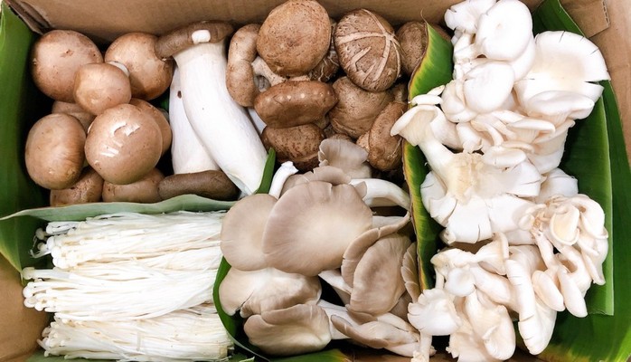 Nông Trại Nấm Xanh - Các Loại Nấm Ăn - Vườn Lài