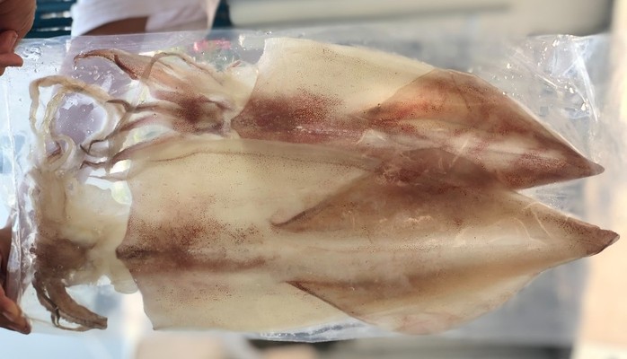 Hải Sản Minh Thư - Mực Một Nắng - 08 Trần Tấn Mới