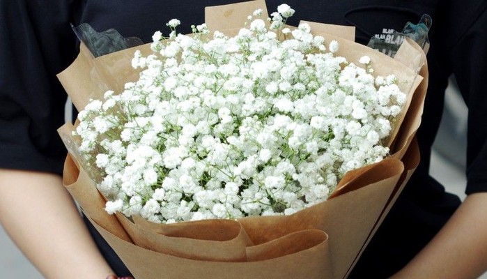 Flower365 - Hoa Tươi - Thích Quảng Đức