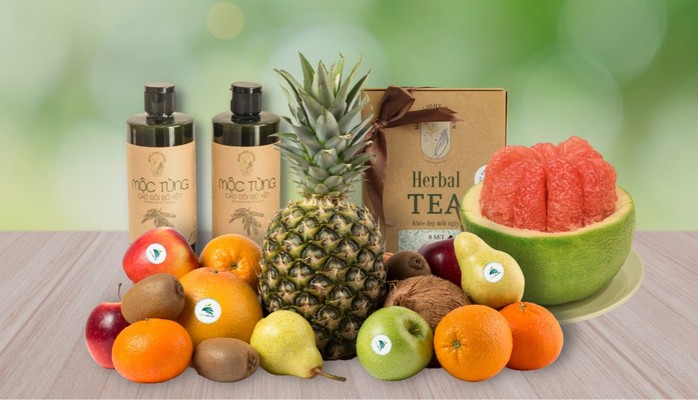 Bách Hóa Cao Nguyên - Trái Cây Tươi - Bình Lợi