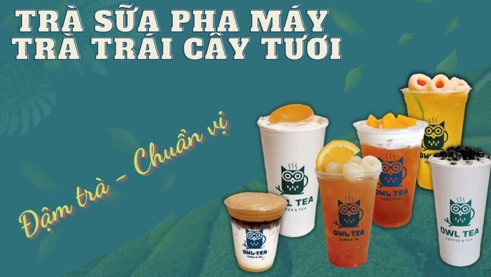 OWL TEA - Chu Mạnh Trinh