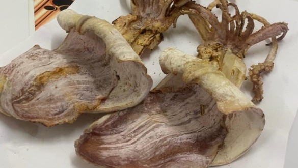 Mực Nướng, Hàu Nướng & Hải Sản Nướng - Miếu Đầm