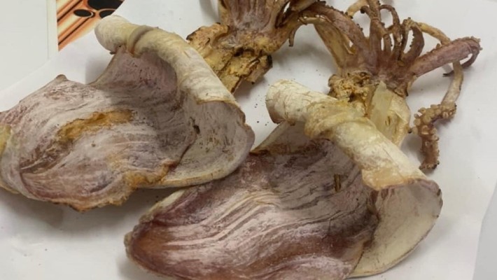 Mực Nướng, Hàu Nướng & Hải Sản Nướng - Miếu Đầm